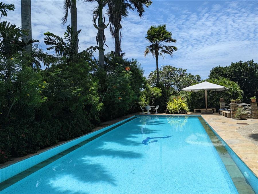 The length of the garden pool, lined with palms