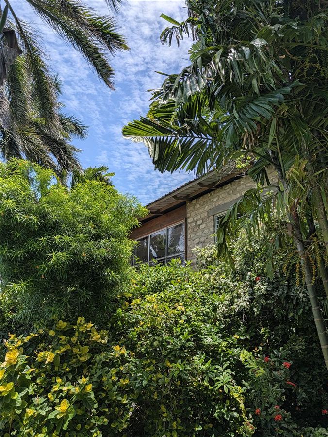A stone residence roofline among palms