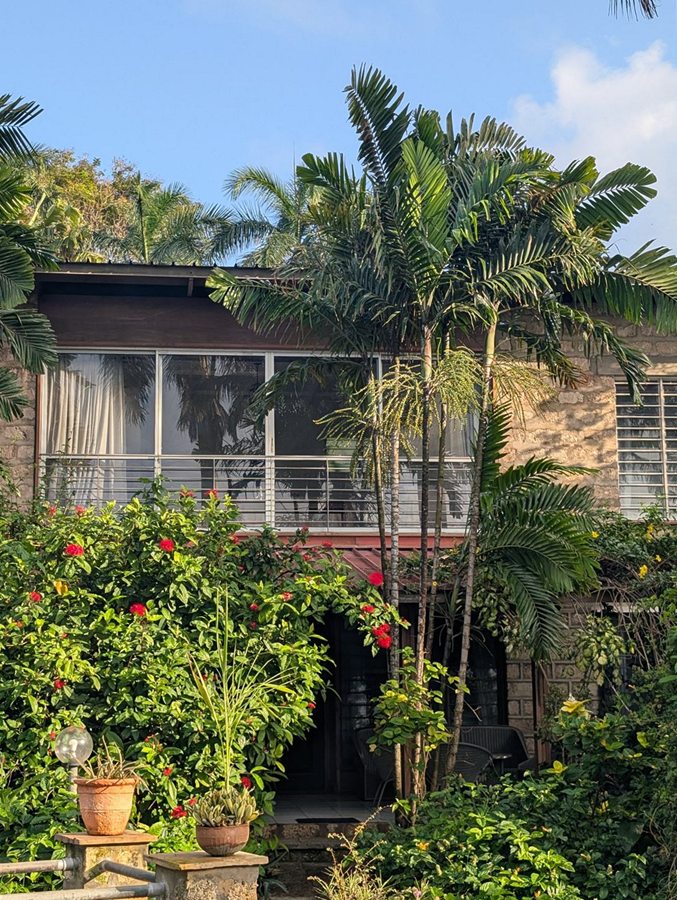 Residences with balconies among palms and bougainvillea