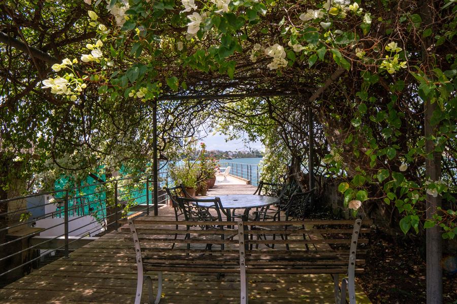 A shaded deck under bougainvillea, leading to the water