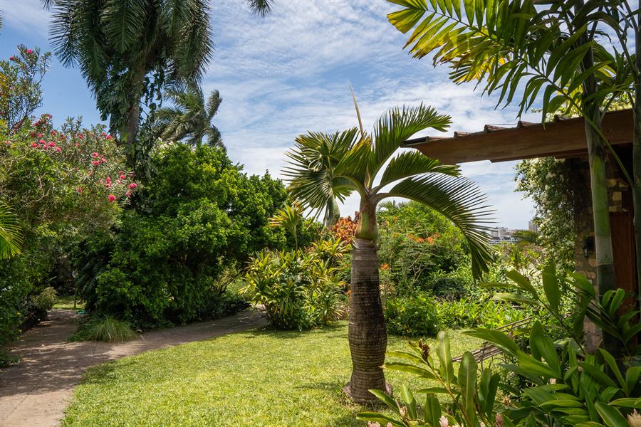 Lawn and palms in the garden, with the creek behind