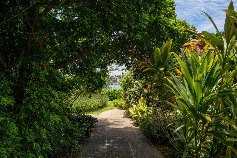 A shaded path under the trees, leading to the creek