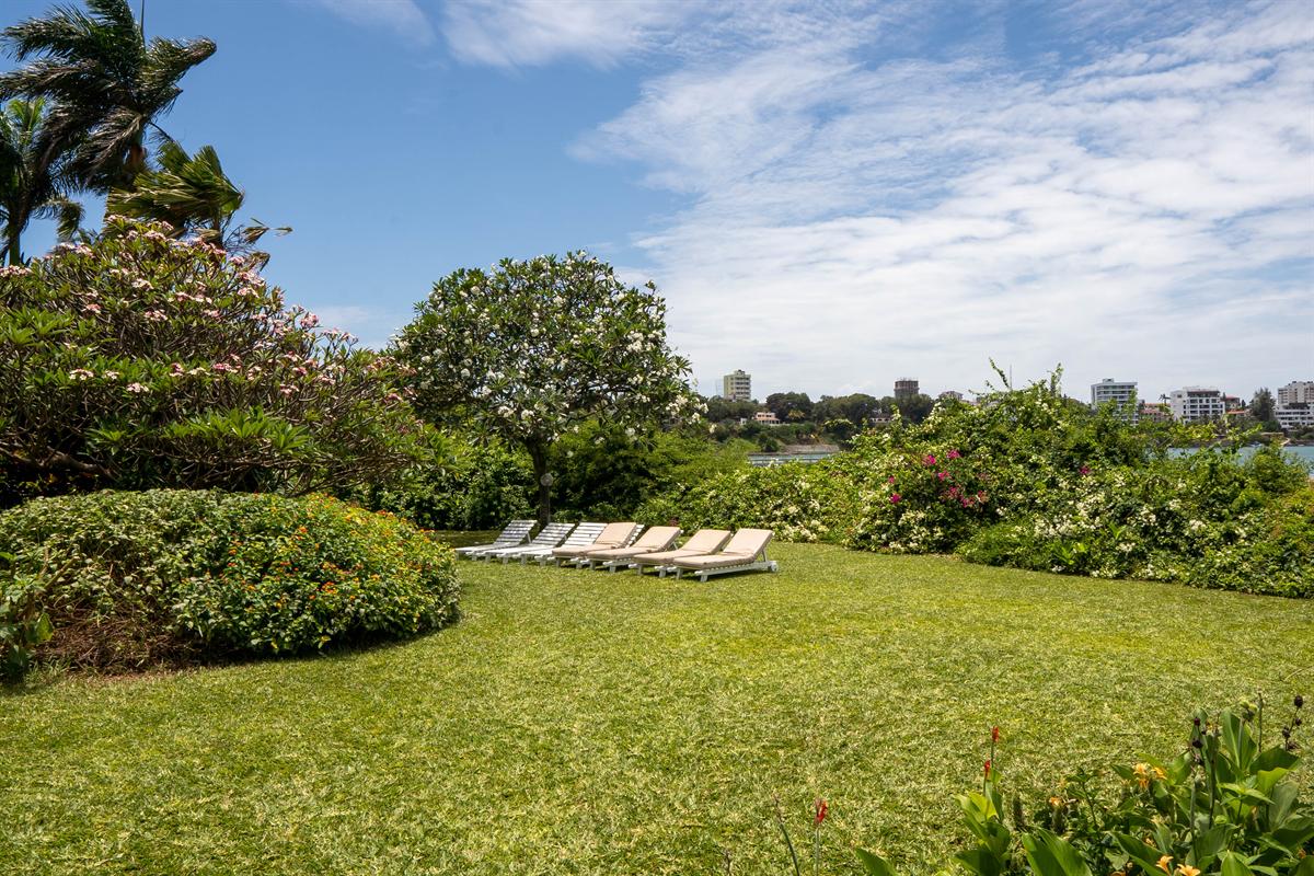 Loungers on the lawn, with the creek beyond