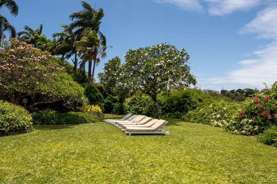 White loungers on the lawn among flowering shrubs