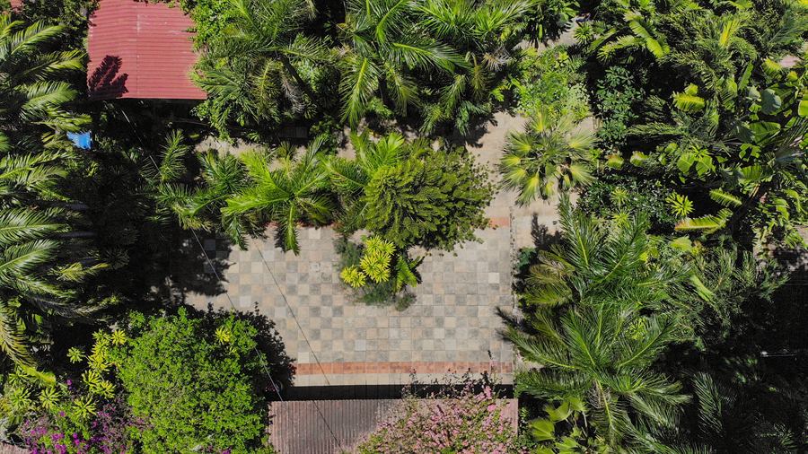 The paved parking court from above, ringed by palms