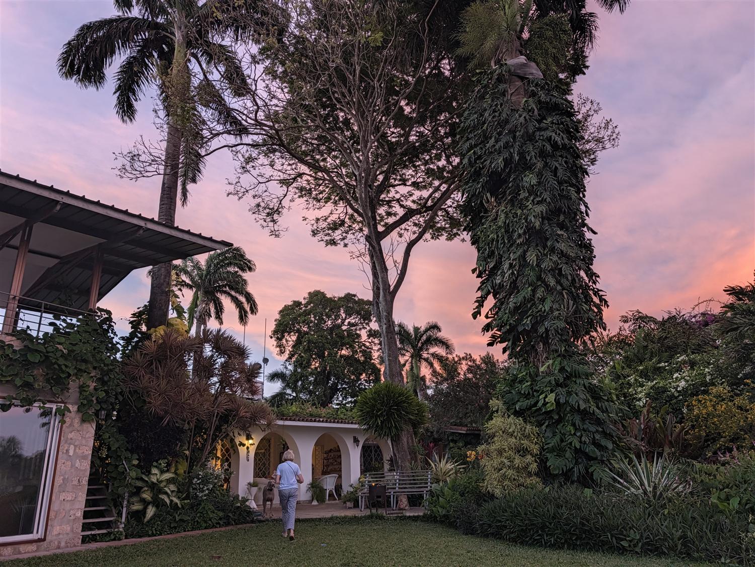 The garden at dusk under a pink sky, with lamps lit under the arches