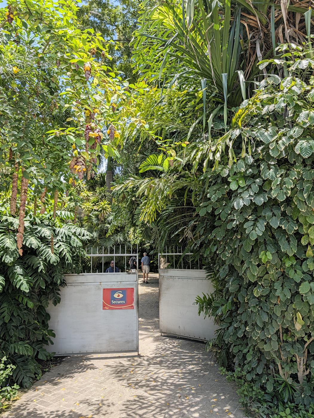The entrance gate, surrounded by greenery