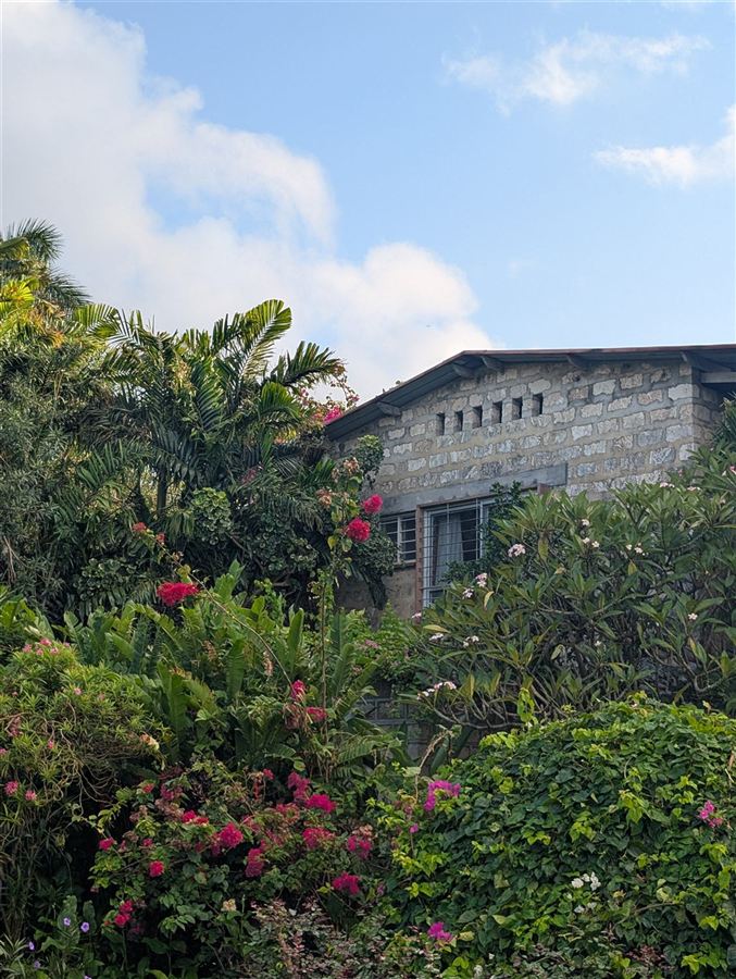 A coral stone residence above flowering shrubs